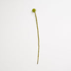 Felt Craspedia Stem