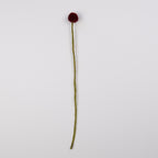 Felt Craspedia Stem