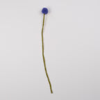 Felt Craspedia Stem