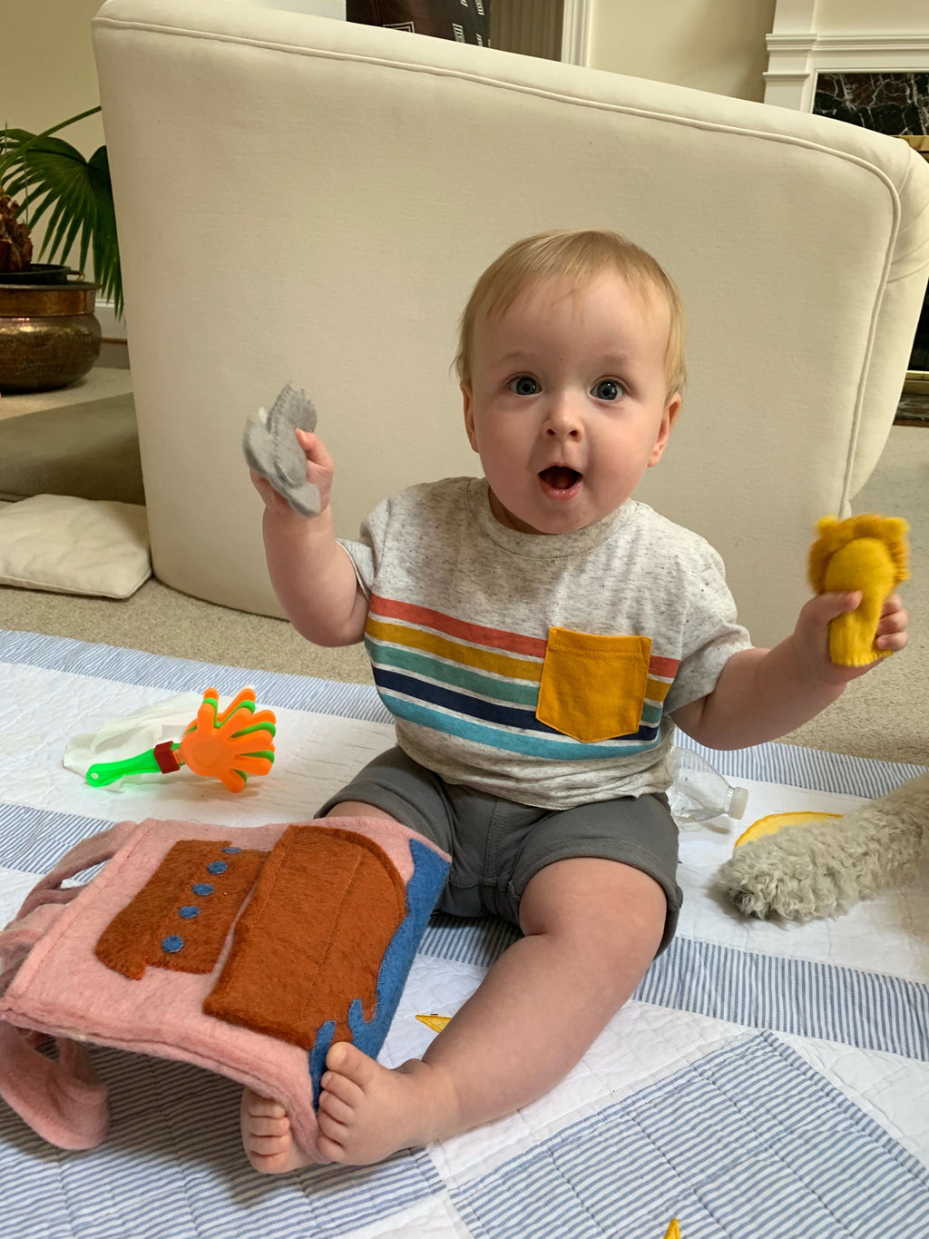 Noah's Felt Puppet Bag
