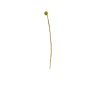 Felt Craspedia Stem